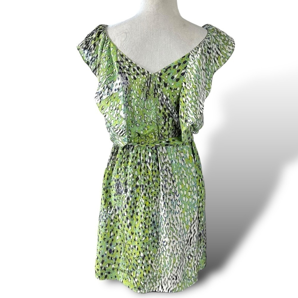 Anthropologie Green and White Mini Dress - Picture 3 of 12